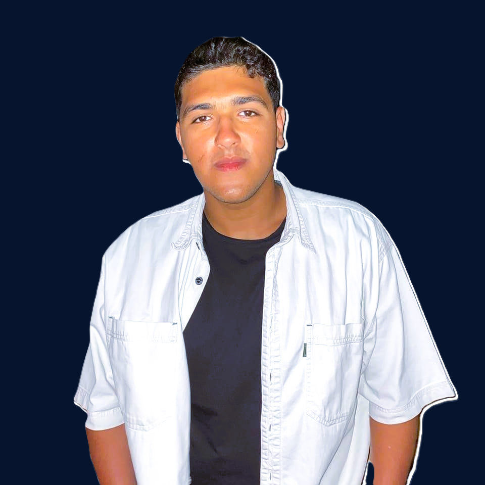 Developer at workstation illustration